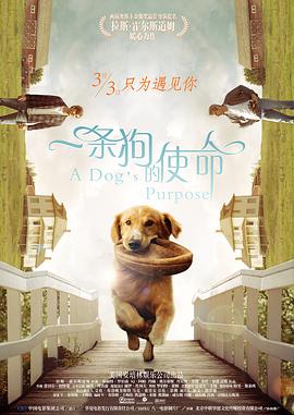 96免费精品视频在线